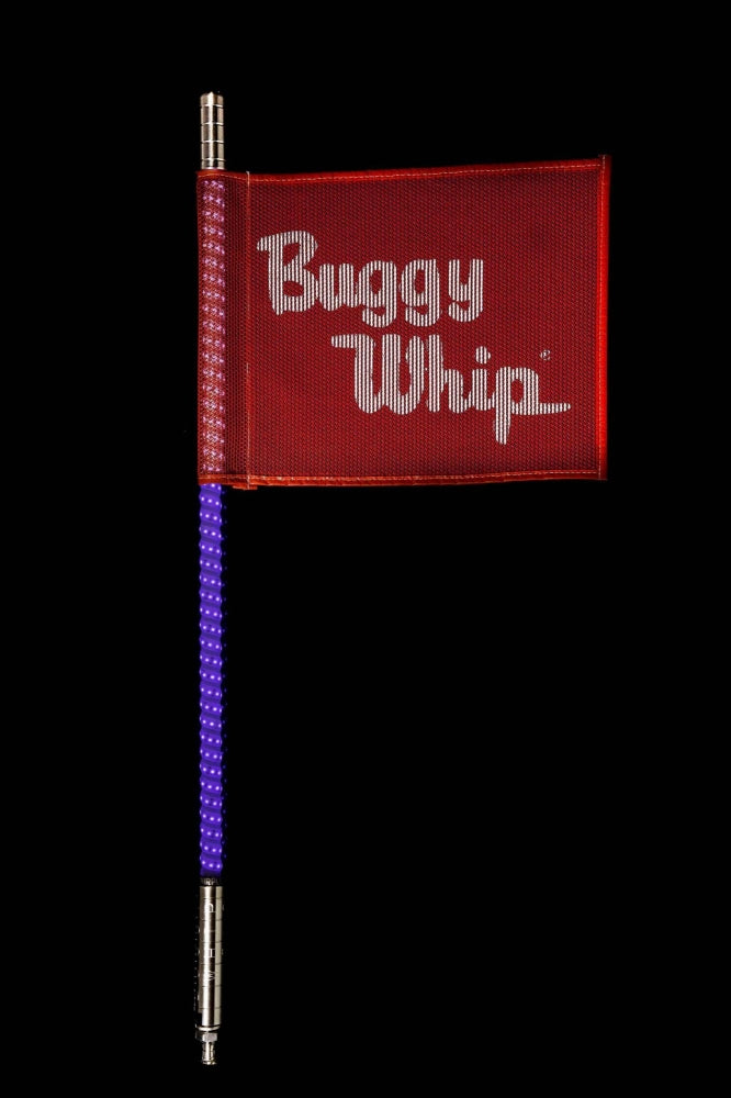 Buggy Whip Inc. - Purple Whip