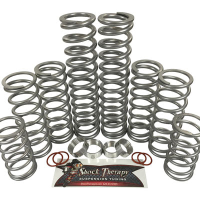 SHOCK THERAPY LEVEL 4 DUAL RATE SPRING KIT - RZR's