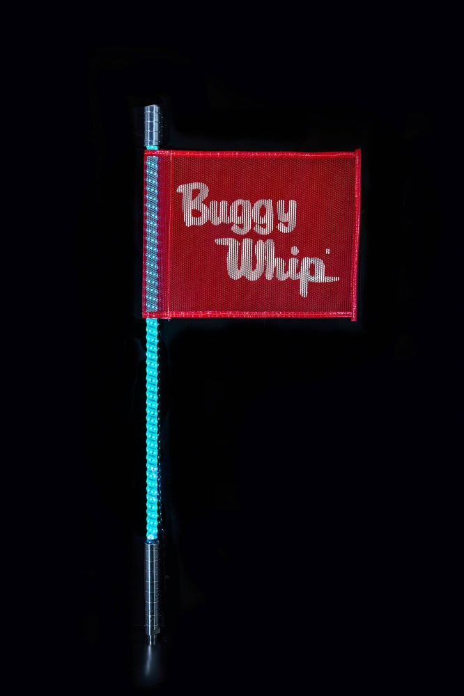 Buggy Whip Inc. - Teal Whip